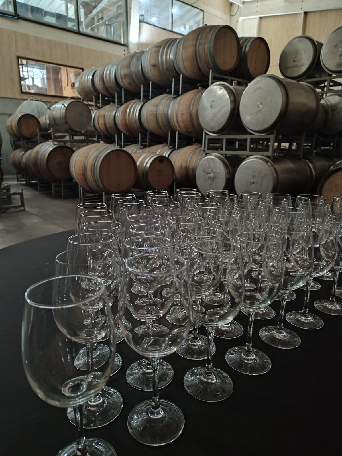 Copas preparadas para una degustación con barricas de vino al fondo